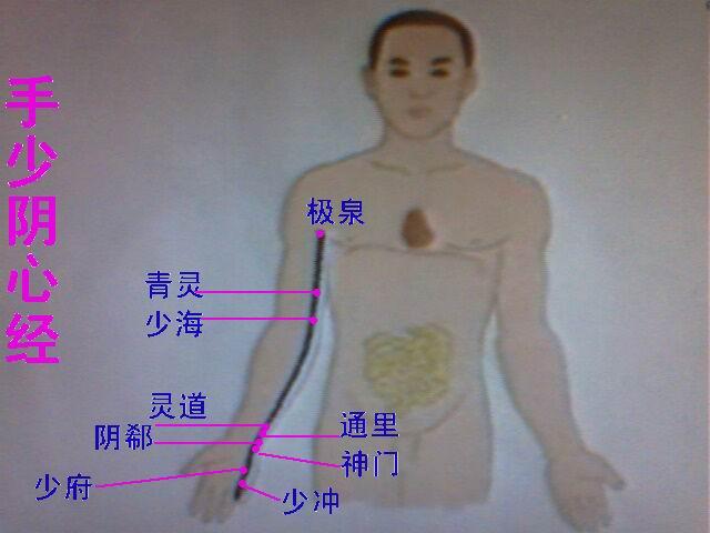 手少阴心经